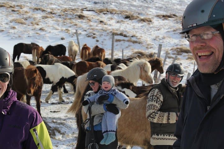 Tölt Through Icelandic Foothills: Deacon Horse Riding Tour, Akureyri