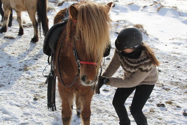 Tölt Through Icelandic Foothills: Deacon Horse Riding Tour, Akureyri photo 3
