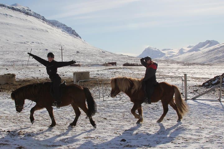 Tölt Through Icelandic Foothills: Deacon Horse Riding Tour, Akureyri photo 2