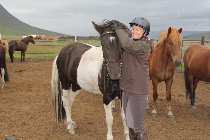 Tölt Through Icelandic Foothills: Deacon Horse Riding Tour, Akureyri photo 6