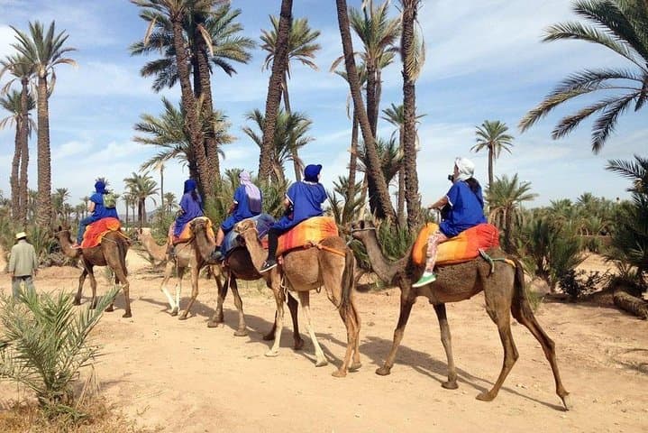 ATV Quad and Camel Ride in Marrakech Palmgrove — Palmeraie Adventure photo 4