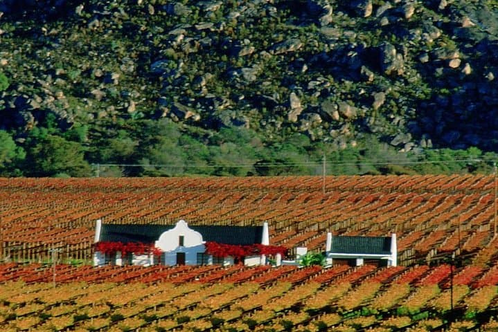 Private Stellenbosch Wine Tasting Tour from Cape Town — Cellars, Cheese & Franschhoek Tram photo 3