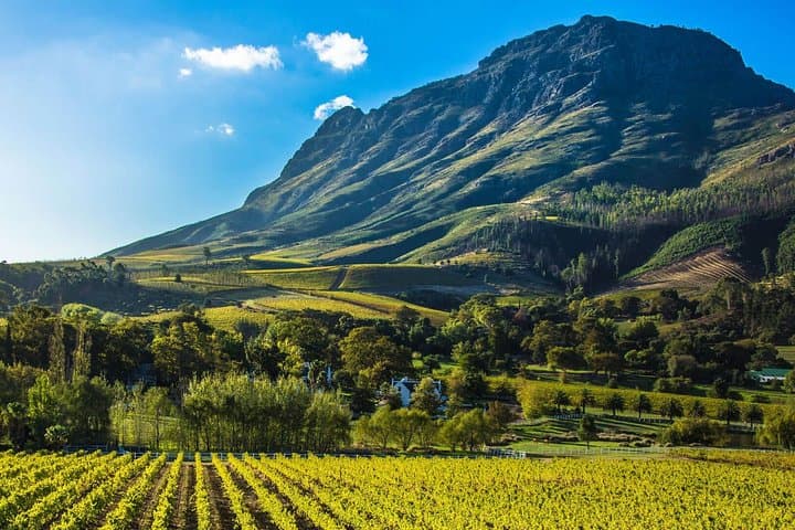 Private Stellenbosch Wine Tasting Tour from Cape Town — Cellars, Cheese & Franschhoek Tram photo 5