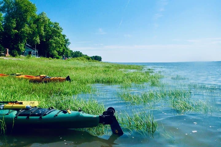 Sea Kayaking Ile d'Orleans: Half-Day Guided Tour on the St. Lawrence River photo 3