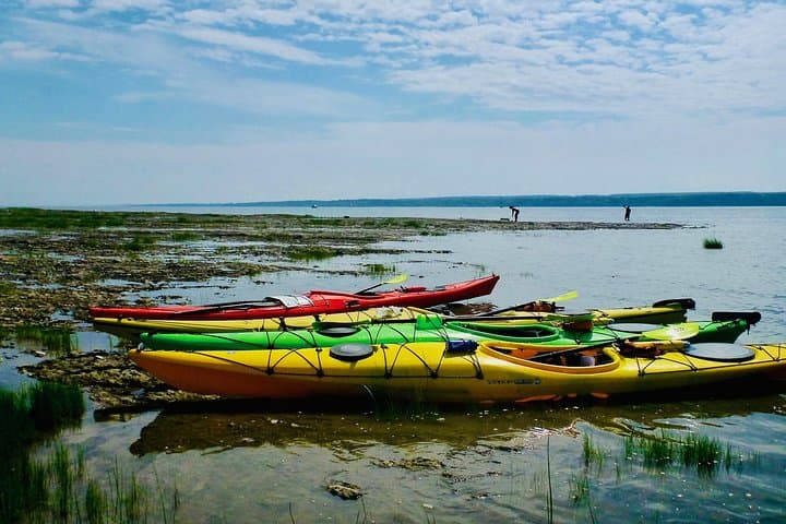 Sea Kayaking Ile d'Orleans: Half-Day Guided Tour on the St. Lawrence River photo 6