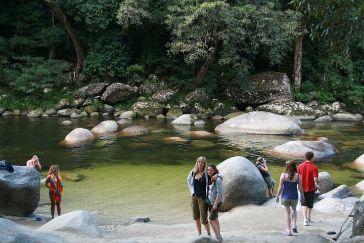 Daintree and Cape Tribulation 2-Day Rainforest & Great Barrier Reef Adventure photo 3