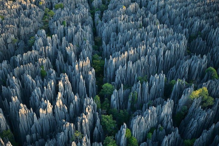 Explore Stone Forest & Jiuxiang Caves: Day Trip from Kunming