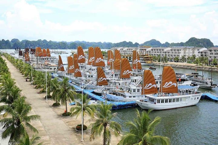 Halong Bay 8-Hour Private Day Cruise from Halong City — Kayak, Cave & Beach photo 4