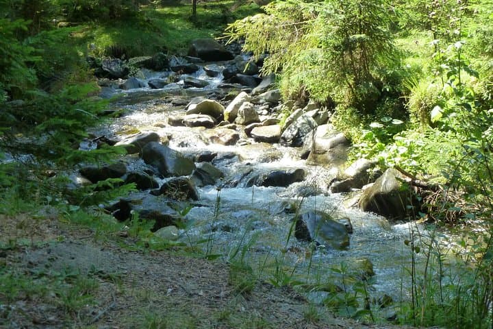 West Bucegi Circuit from Moeciu de Sus — 15 km Guided Hike in Bucegi Natural Park photo 4
