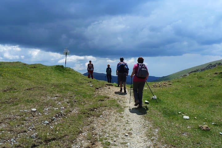West Bucegi Circuit from Moeciu de Sus — 15 km Guided Hike in Bucegi Natural Park photo 5