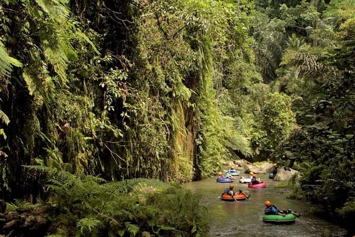 Penet River Tubing from Ubud — Bio River Tubing Adventure in Sangeh photo 5