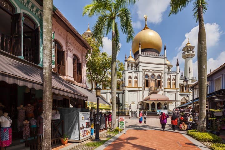 Private Singapore City Highlights Tour By Car — Custom Half- or Full-Day in Singapore photo 4