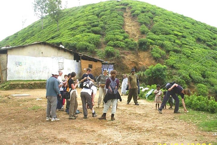 3-Day Misty Mountain Trek: Horton Plains & Bambarakanda Falls from Ella photo 5