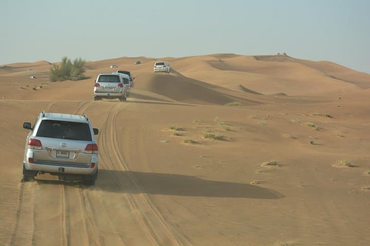 Afternoon Desert Safari & BBQ in Al Avir — Dune Bashing, Camel Rides, Bedouin Camp photo 4