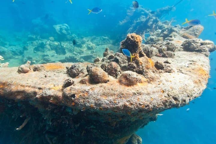 Coron Reefs & WWII Wreck Snorkel: Private Tour to Pass Island & Lusong