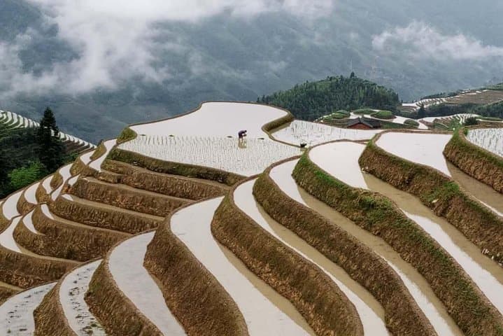 Explore Longji (Dragon's Backbone) Rice Terraces and Minority Villages — Day Tour from Guilin photo 3