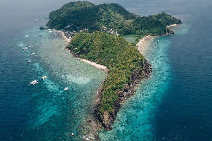 Snorkel Apo Island: Dumaguete's Marine Sanctuary Day Tour photo 3