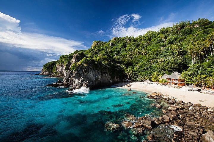 Snorkel Apo Island: Dumaguete's Marine Sanctuary Day Tour photo 4