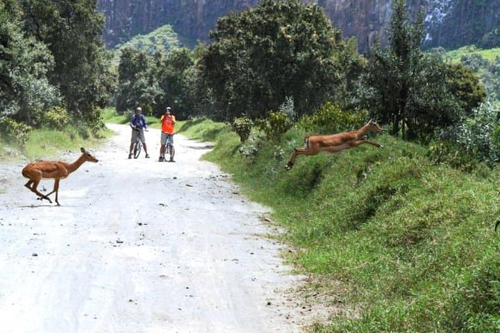 Hells Gate Naivasha Cycling and Boat Safari — Day Trip from Nairobi photo 5
