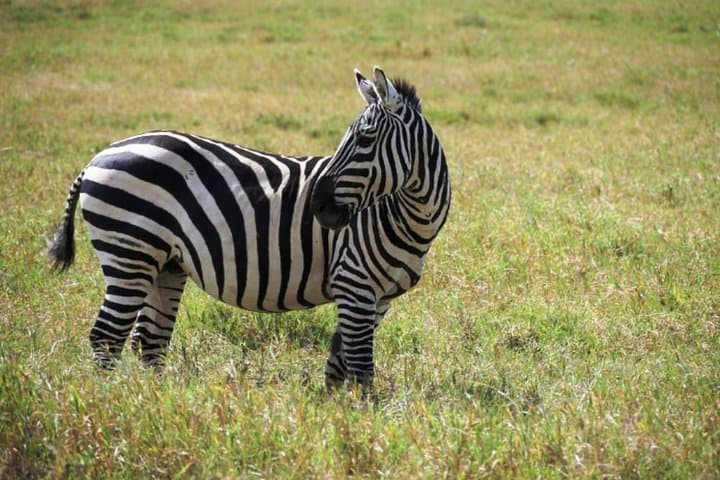 Hells Gate Naivasha Cycling and Boat Safari — Day Trip from Nairobi photo 2