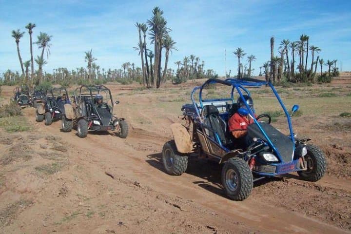 Marrakech Palmeraie Buggy Tour: Off‑Road Palm Grove & Berber Tea Experience photo 2