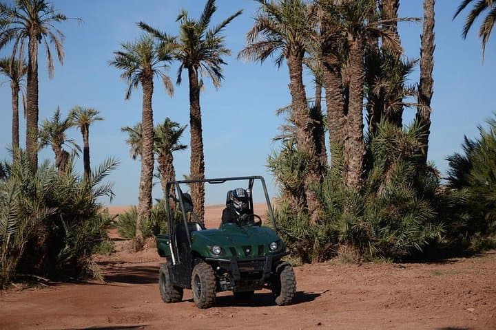 Marrakech Palmeraie Buggy Tour: Off‑Road Palm Grove & Berber Tea Experience photo 3
