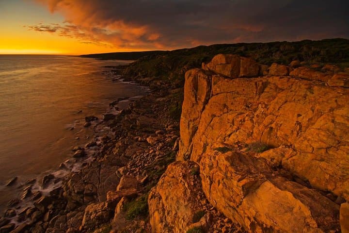 Margaret River Indulge and Discover Day Tour: Coffee, Cave & Wine Trail photo 3