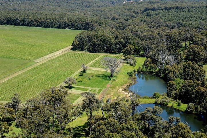 Margaret River Indulge and Discover Day Tour: Coffee, Cave & Wine Trail photo 5