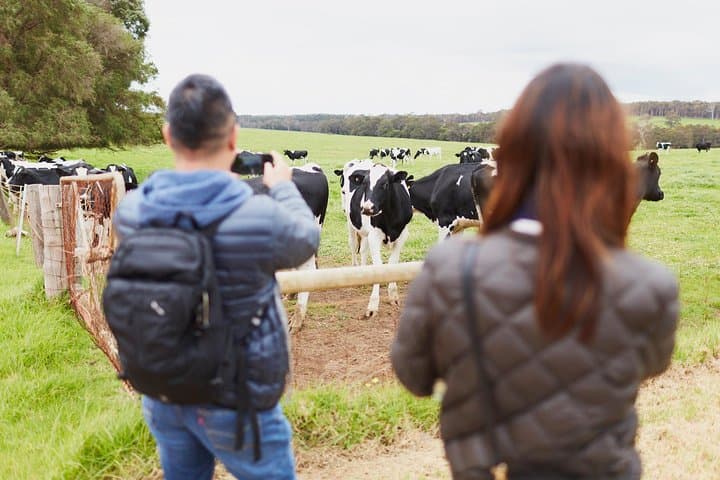 Margaret River Indulge and Discover Day Tour: Coffee, Cave & Wine Trail photo 6