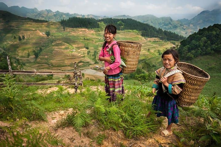 Sapa 2-Day Trek From Hanoi: Cat Cat, Muong Hoa Rice Terraces & Village Life