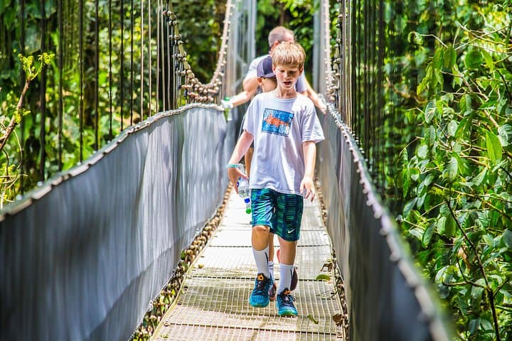 Arenal Hanging Bridges Guided Walk - La Fortuna Canopy Trails & Hot Springs photo 4