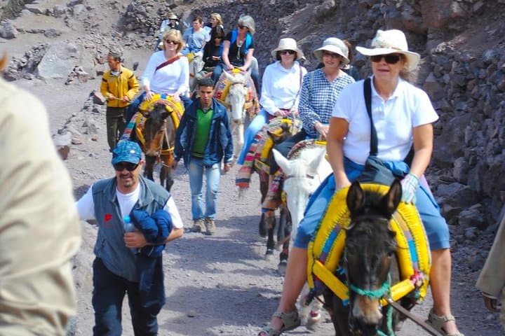 Ouirgane Mule Trek: Day Hike through Berber Villages & Olive Terraces