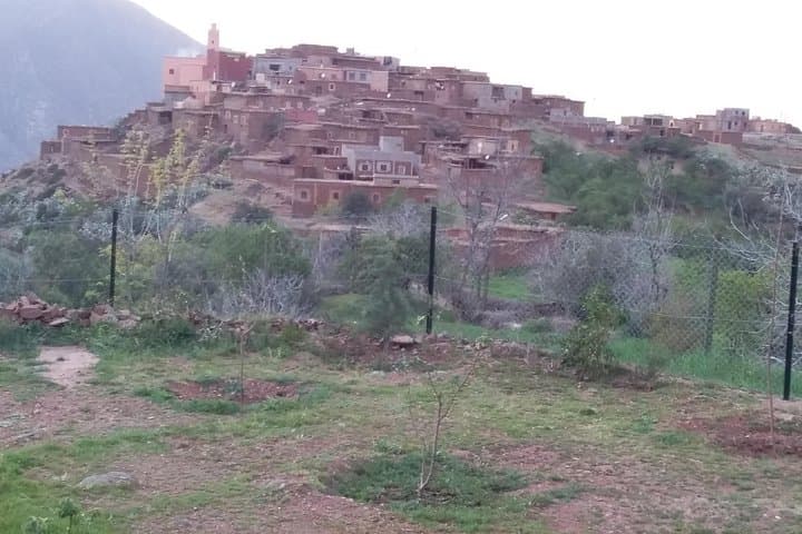 Ouirgane Mule Trek: Day Hike through Berber Villages & Olive Terraces photo 6