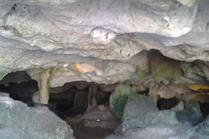 Green Grotto Caves and Horseback Swim: Ocho Rios Day Adventure photo 2