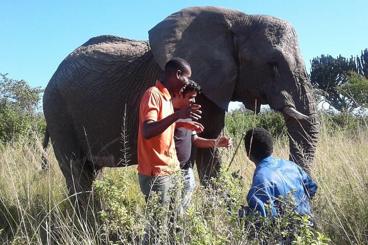 Lions Park and Itala Game Reserve Day Safari from Durban