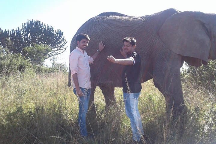 Lions Park and Itala Game Reserve Day Safari from Durban photo 2