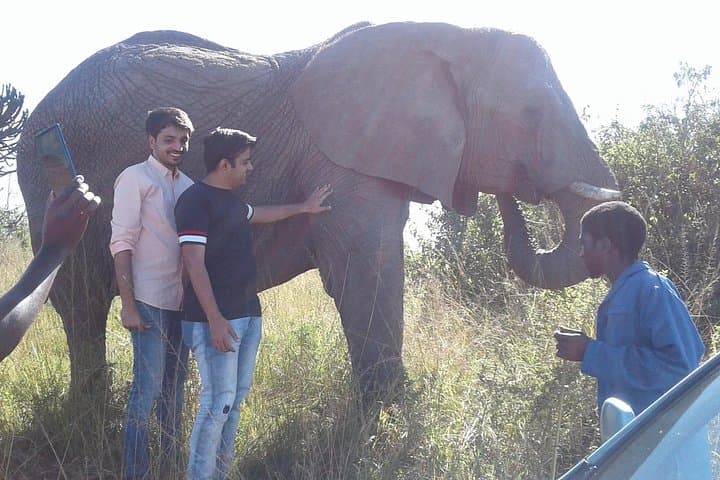 Lions Park and Itala Game Reserve Day Safari from Durban photo 3