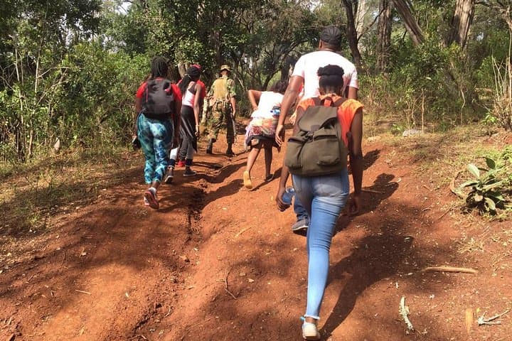 Ngare Ndare Forest: Hike, Canopy Walk & Waterfall Swim from Nairobi