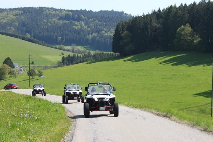 Taster Tour 4x4 Offroad: Two-Hour Buggy Adventure Near Lahr, Germany photo 2