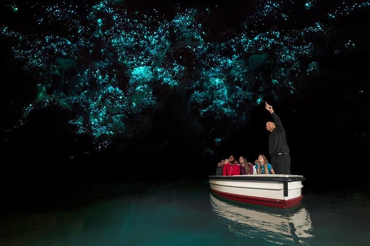 2-Day Waitomo Caves, Hobbiton & Rotorua Tour from Auckland
