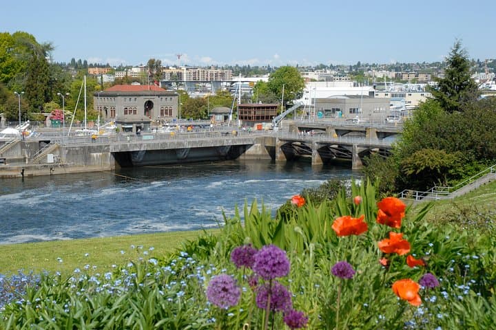 Seattle City Highlights: 3-Hour Downtown Sightseeing Tour photo 6