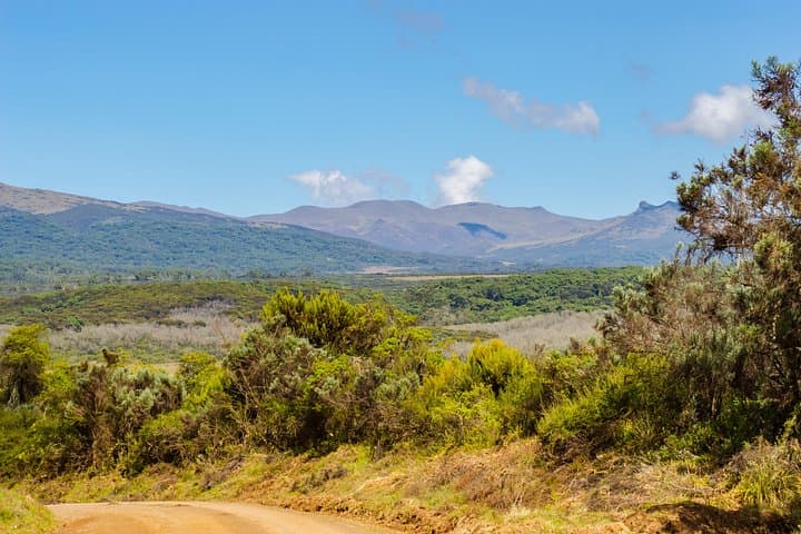 Two Days in Aberdare National Park: Game Drives, Falls & High-Altitude Hikes photo 4