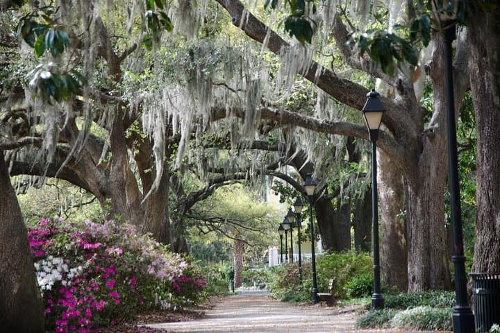 Savannah Trivia Walking Tour: Historic Squares, Haunts & Movie Sites photo 3