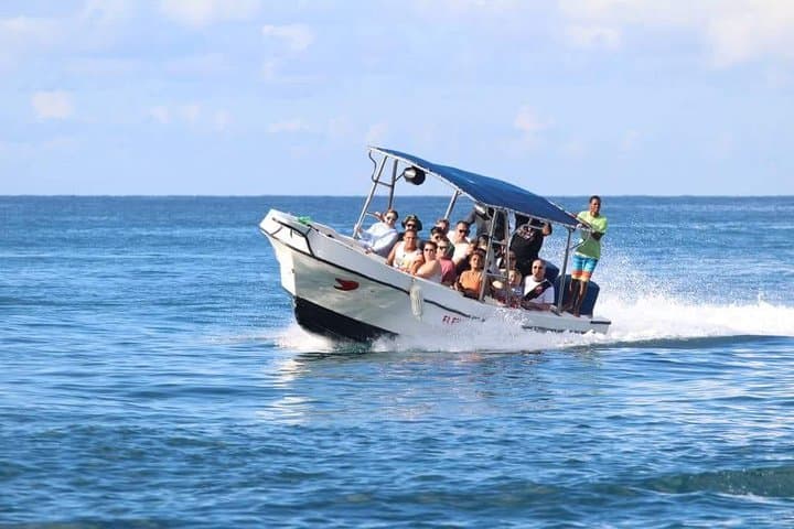 Saona Island Sailing Tour: All-Inclusive Catamaran Day Trip from Bayahibe photo 2