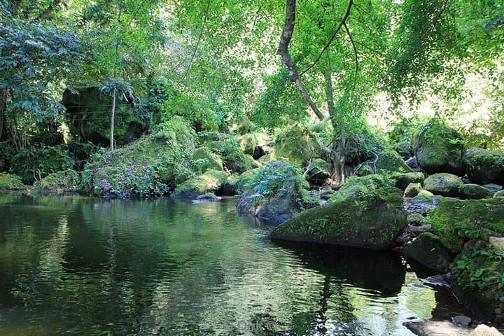 Lake Balanan: 4km Forest Loop and Waterfall Trek Near Dumaguete photo 6