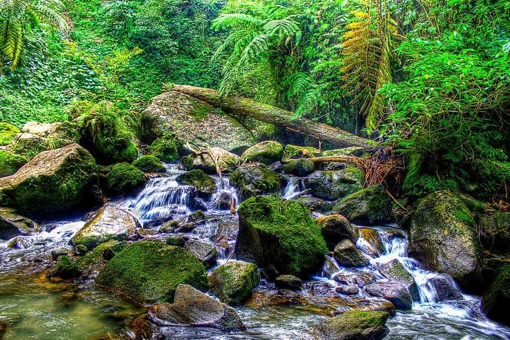 Dumaguete Casaroro Falls and Balinsasayaw Twin Lakes Day Tour — Waterfalls, Lakes & Local Trails photo 2