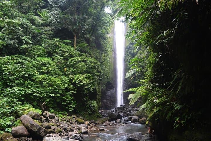 Hiking Casaroro Falls: Dumaguete’s 70m Waterfall Trek photo 2
