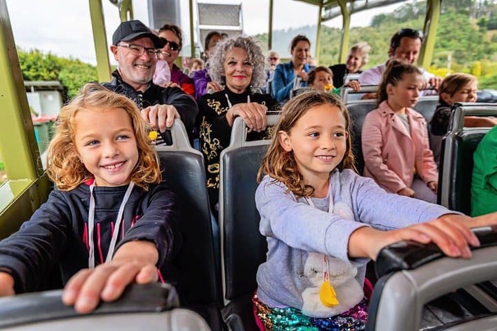Rotorua Duck Boat Tour — Amphibious City and Lakes Sightseeing photo 4