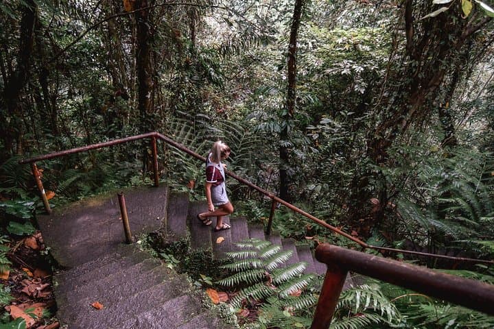 Dumaguete Casaroro Falls and Balinsasayaw Twin Lakes Day Tour — Waterfalls, Lakes & Local Trails photo 6