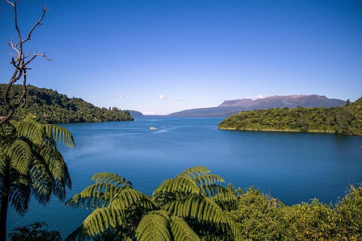 Tarawera & Rotorua Lakes Duck Cruise: Guided Amphibious Eco Tour photo 3